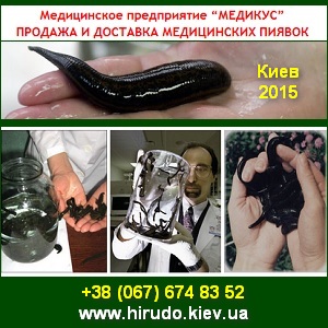 Купить Пиявки Медицинские В Рязани Адреса
