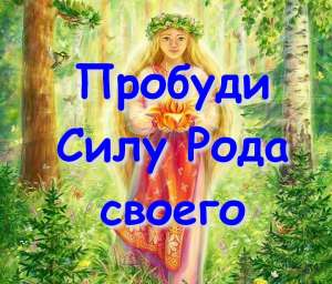   ,      . ,    ! - 