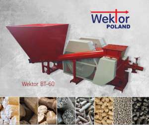           Wektor