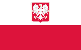      (  ) - 