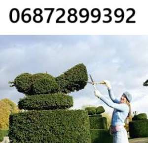        ! - 