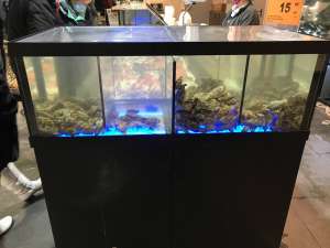         Retailaqua.