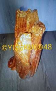    (   ), 2000 $