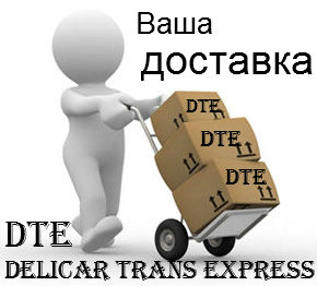       . Delicar Trans Express DTE