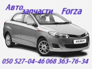    ,   . Forza - 