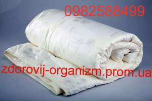       , Haogan, 999, 