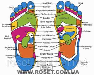       Foot Physiotherapy Instrument YX-818