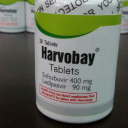  ,     (Harvobay)?   