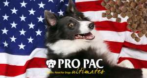       Pro Pac Ultimates - 