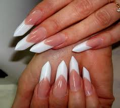    , , , Shellac -  , .. 