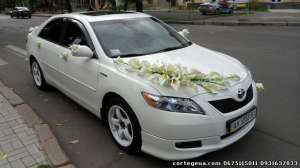 , ,     Toyota Camry, Avensis  ,  