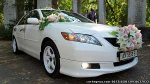     ,  Toyota Camry Hybrid,
