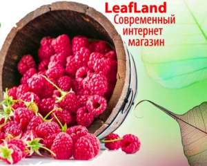      Leafland - 