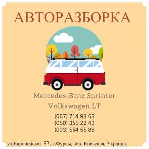      Mercedes-Benz Sprinter  Volkswagen LT   .   ,    - 