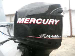      Mercury Optimax 250