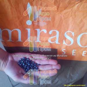      - Mirasol seed