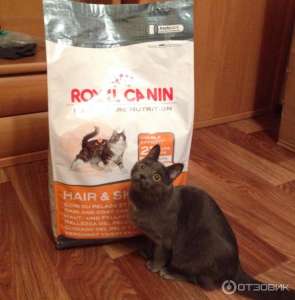      Royal Canin!