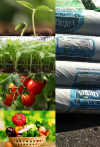      /Vatan Plastik - 