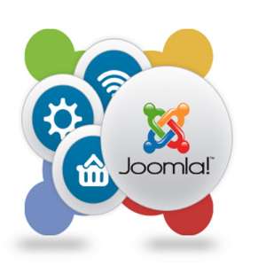 , :   , Word, Excel, WordPress, Joomla, , HTML, CSS