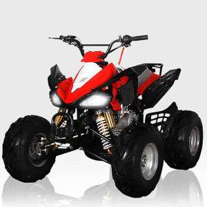  !   ATV 8016 110cc: 50/,  - 