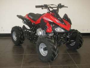  !   ATV 8016 110cc: 50/, 