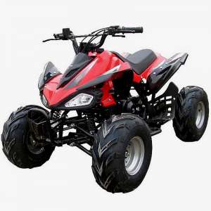  !   ATV 8016 110cc: 50/, 