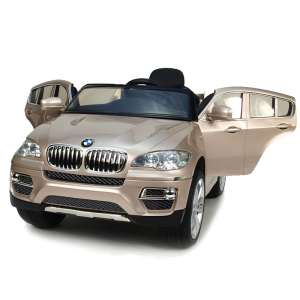     BMW X6: PLATINUM-GOLD
