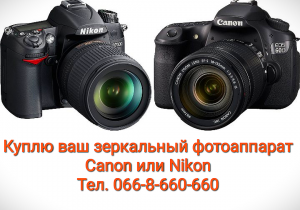     Canon  Nikon -   