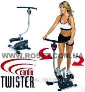     Cardio Twister