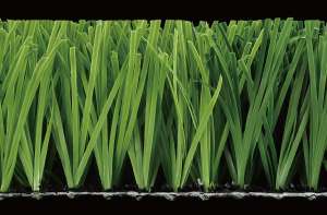    . CCGrass - 