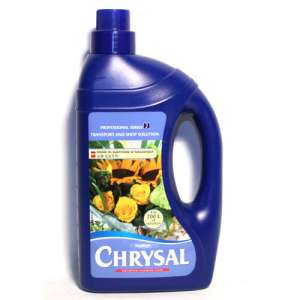     Chrysal - 