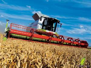     John-Deere, Claas Lexion  . - 