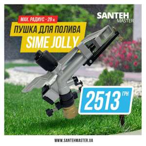     Sime Jolly - 