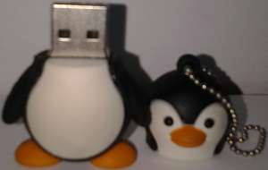     USB Flash Disk (16GB)  .