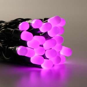    10, 100led   - 