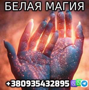    +380935432895 - 