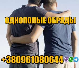    +380961080644