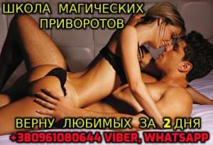    +380961080644 - 