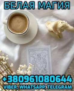    +380961080644 - 