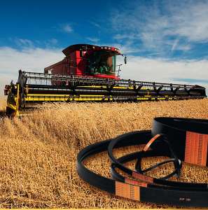    629035 [Claas] HO95 Harvest Belts [Stomil]