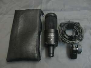    Audio-Technica AT2050 - 