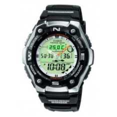    CASIO AQW-101-1AVER