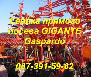    Gaspardo Gigante