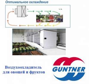 , ,  GUNTNER