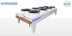 , ,  GUNTNER