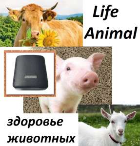    Life Animal.   . - 