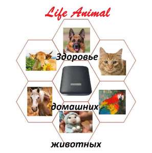    Life Animal.   .