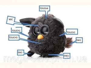    Phoebe ( Furby)