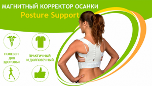    Posture Support - 