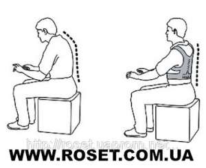    Power Magnetic Posture Support "EMSON"